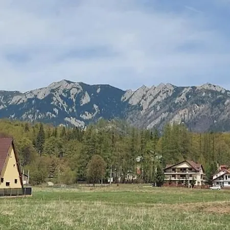Casa De Vacanta Mountain View Holiday home *