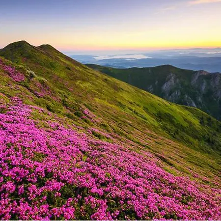 Casa De Vacanta Mountain View Cheia (Prahova)