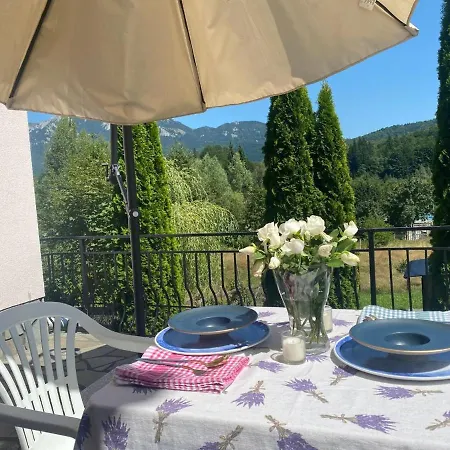 Holiday home Casa De Vacanta Mountain View