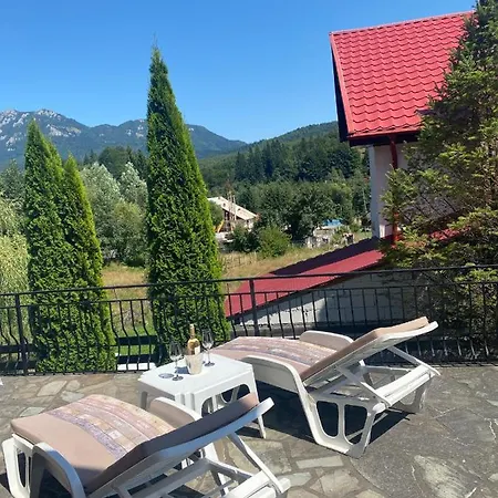 Casa De Vacanta Mountain View Holiday home *